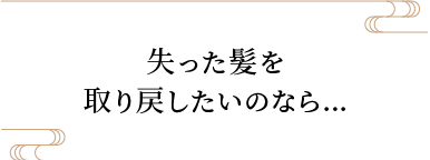 失った髪を取り戻したいのなら