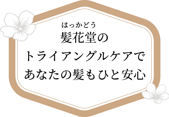 はっかどうのトライアングルケアであなたの髪もひと安心